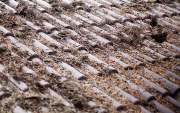 Barthol Chapel roof cleaning companies